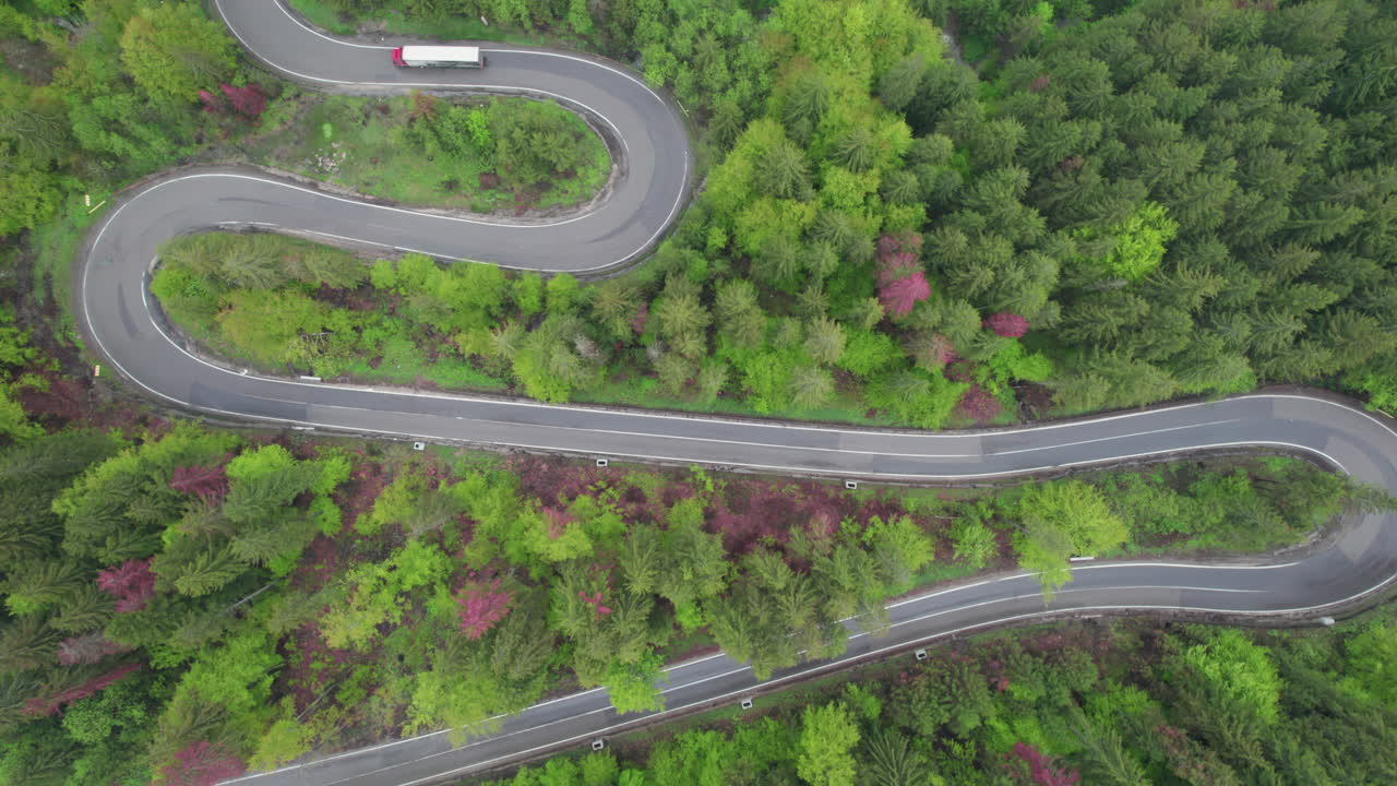 Aerial view of trucks driving on winding roads through a green forest in Romania