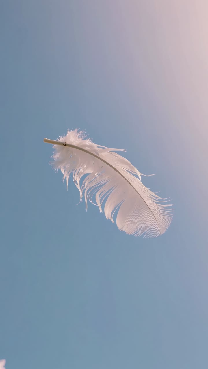 En fredfyldt video, der fanger en enkelt hvid fjer, som forsigtigt svæver mod en klar blå himmel, filmet.