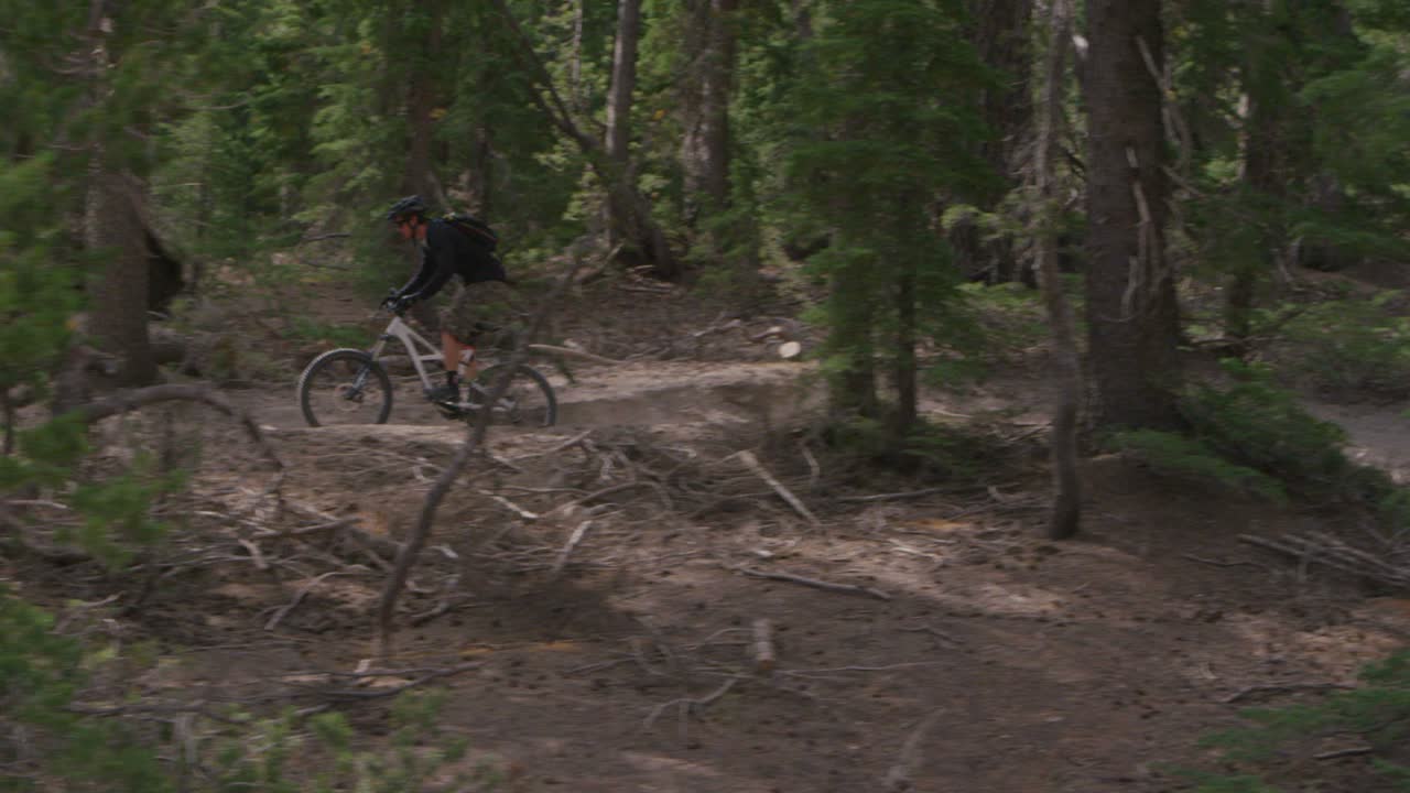 A mountain biker rides in a forest 2