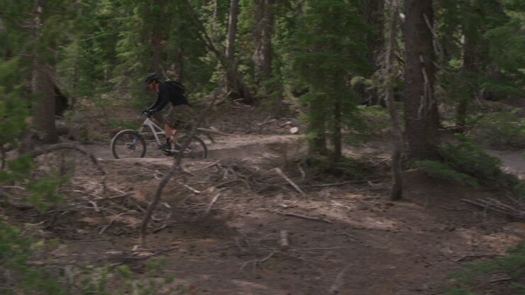 A mountain biker rides in a forest 2
