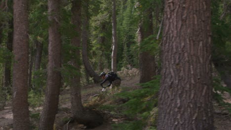 Un-Ciclista-De-Montaña-Paseos-En-Un-Bosque-2