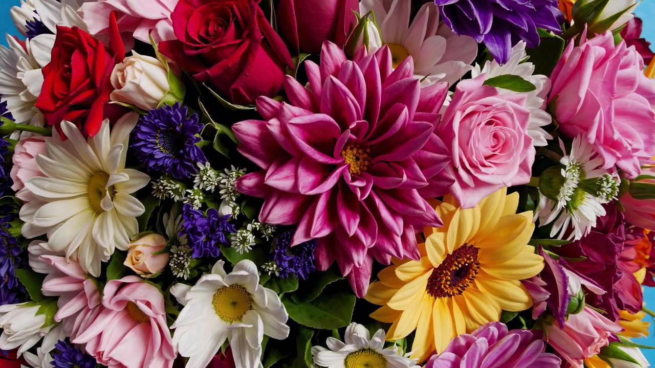 Mazzo vivace di fiori colorati su sfondo blu