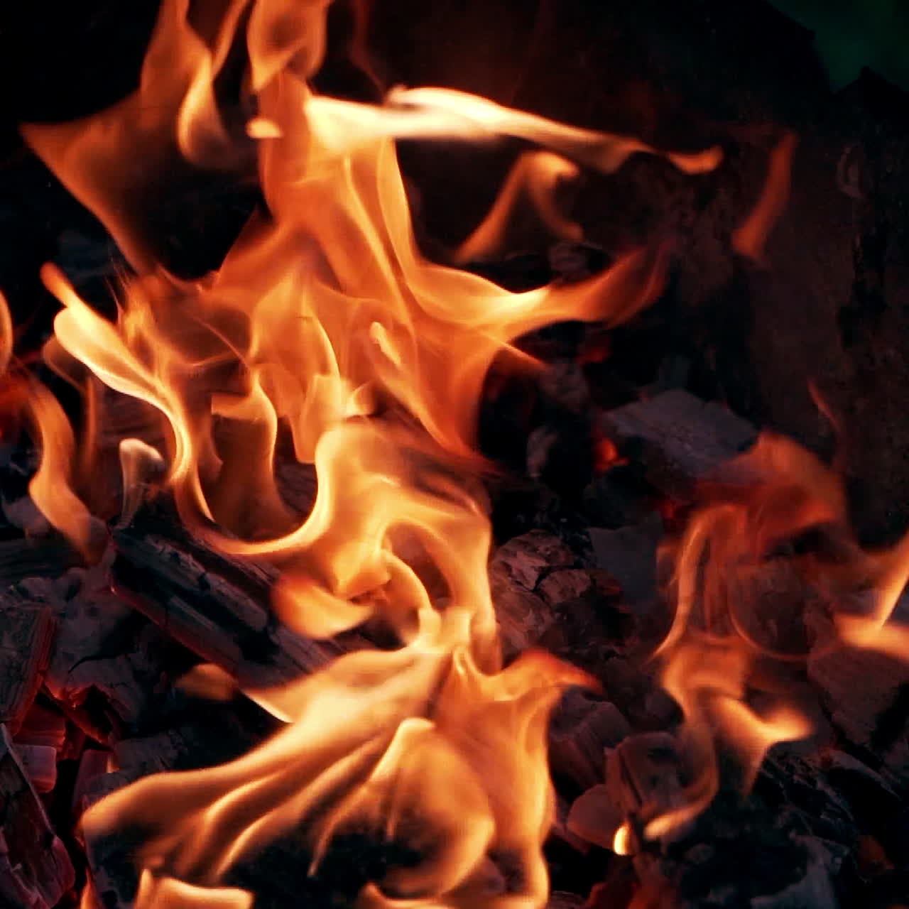 Orange flame and embers of burnt-out fire on dark background. Smoldering logs in small fire outdoors. Glowing fire. Close-up.