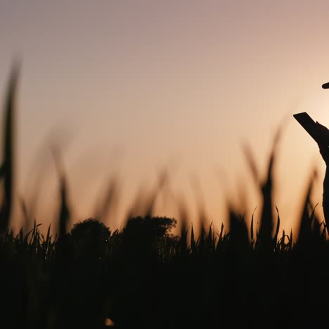 Silhouette-Einer-Bäuerin-Mit-Einem-Tablet-Auf-Einem-Feld