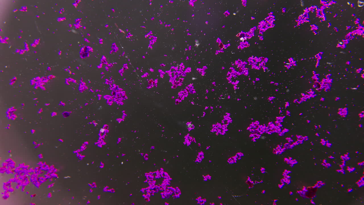 Vista microscopica di particelle viola