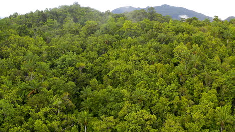 indonesia, what a beaut