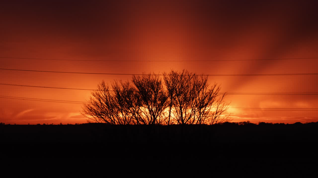 Beautiful rare sunset captured. God rays striking upwards behind a tree.