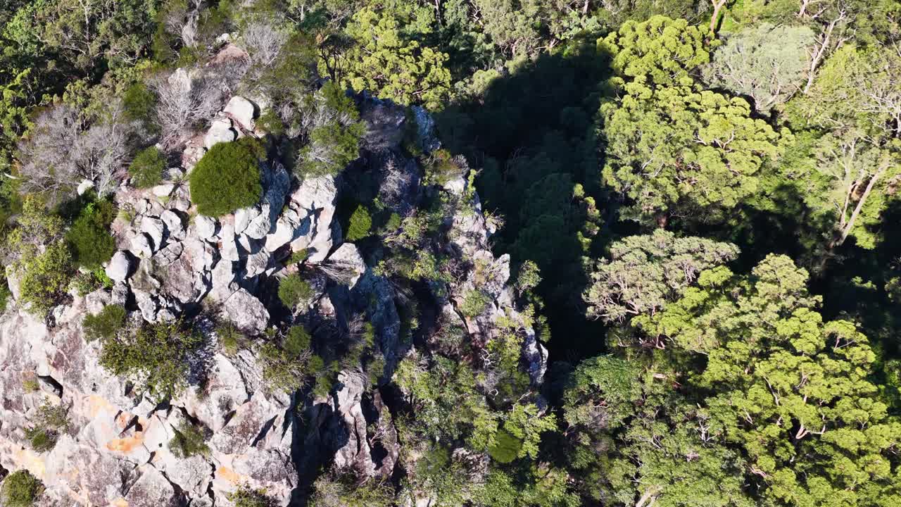Drone footage captures the rugged Nimbin Rocks surrounded by lush forest in bright daylight, showcasing natural beauty and geological formations