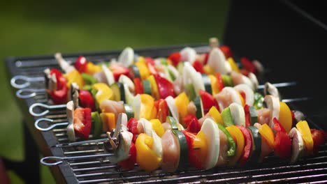 colorful and tasty grilled shashliks on outdoor summer barbecue