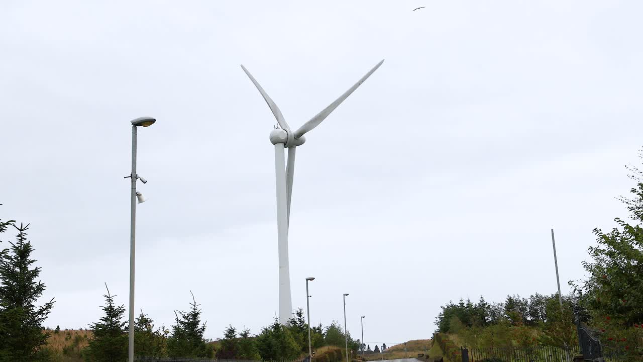 ветряная турбина, вращающаяся в сельском ландшафте