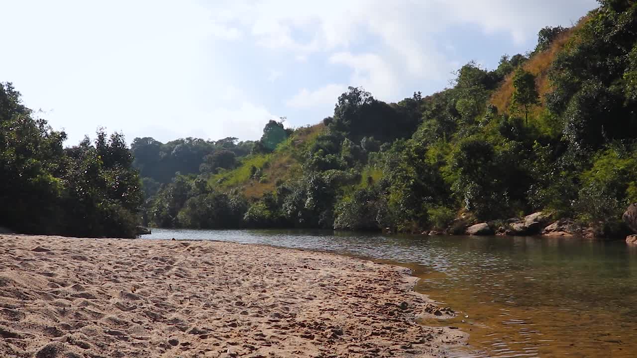 bosque verde con río que fluye y cielo azul brillante por la mañana desde un ángulo plano