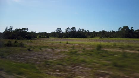 Wild-nature-of-Gotland-island-in-summer-season,-view-from-driving-car