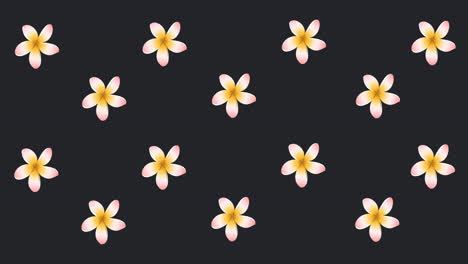 animación de lápiz labial sobre flores sobre un fondo negro