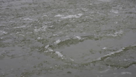 floating ice on freezing water in detail