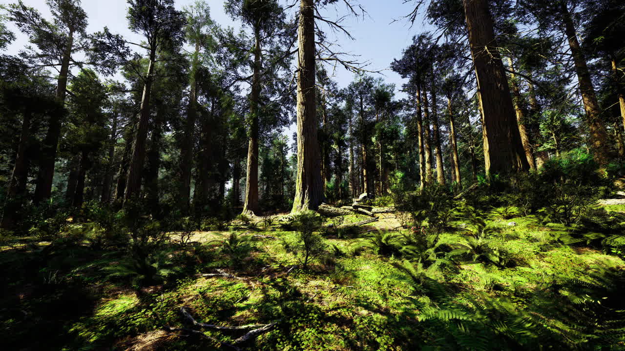 Rigoglioso paesaggio forestale con alberi imponenti e sottobosco vivido alla luce del giorno