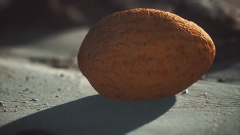 Desert-melon-on-the-sand-beach