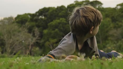 Comfortable-carefree-child-lying-on-hillside-pulling-wild-dandelion-flowers-from-ground