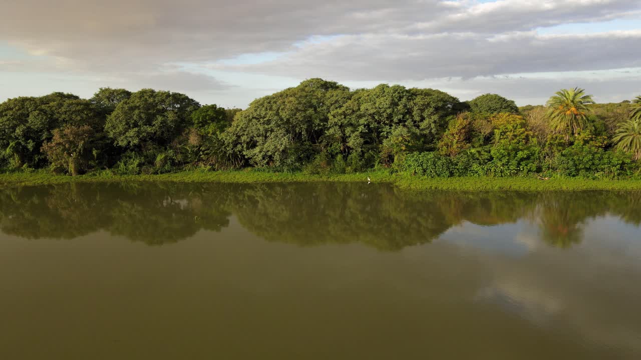 panorámica aérea de bosques verdes junto al río en un día nublado en argentina