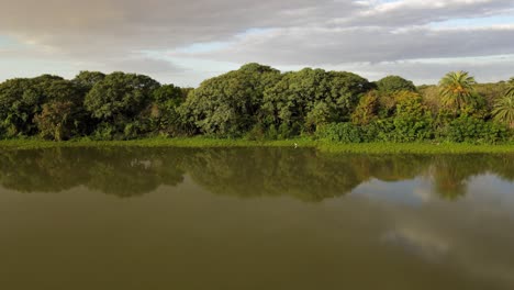 Aerial-pan-of-green-woodlands-next-to-river-on-cloudy-day-in-Argentina