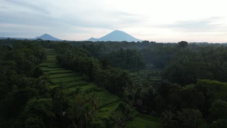 Rice-terraces-near-Ubud-at-sunrise-with-a-volcano-view,-aerial