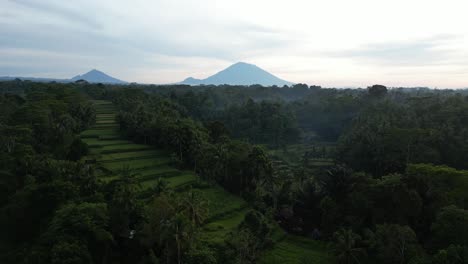 terrazas de arroz cerca de ubud al amanecer con una vista del volcán, aérea