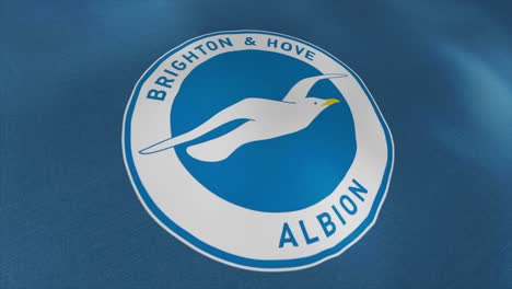 brighton & hove albion flag