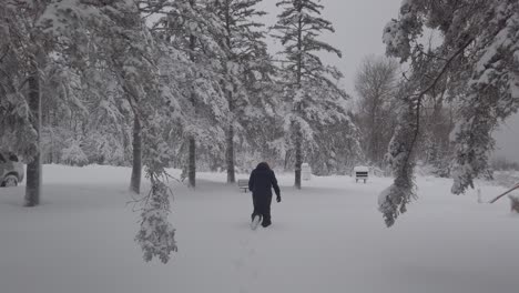 winter wonderland amazing landscape in minnesota person walking after a snowstorm