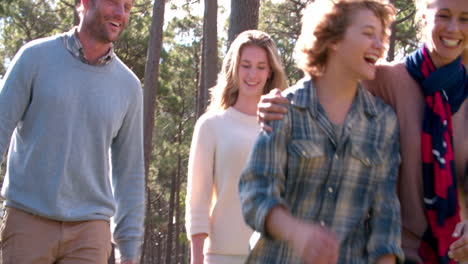 happy family with teenage kids walking in the countryside