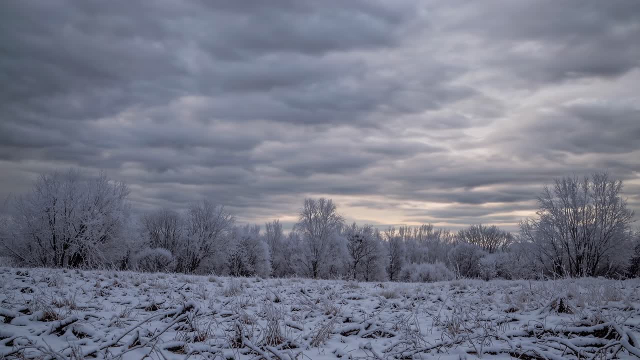 A wide-angle video captures a serene winter landscape with snow-covered fields and bare trees