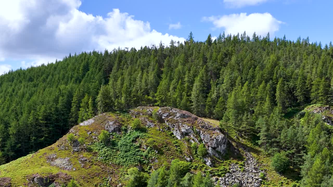 Slow panoramic camera movement across lush pine forest hillside, rocky outcrop, bright daylight, clouds