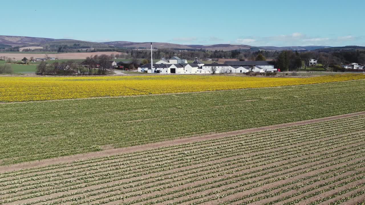 화창한 봄날, 애버딘셔, 스코틀랜드의 페터케언 위스키 양조장의 공중 전망