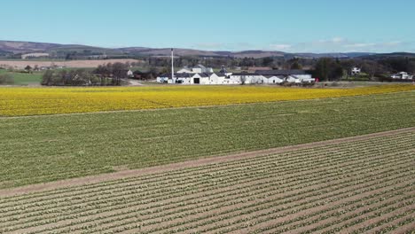 Aerial-view-of-Fettercairn-whisky-distillery-on-a-sunny-spring-day,-Aberdeenshire,-Scotland