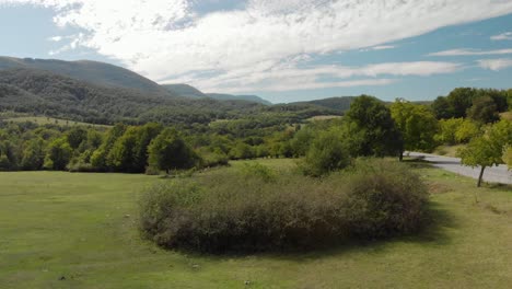 Drone-shot-rise-over-big-round-bush