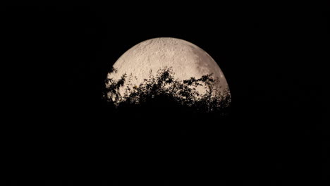 Zoom-En-Detalle-De-La-Luna-Capturada-Con-Las-Copas-De-Los-árboles-En-Movimiento-Vista-De-Zoom-De-Primer-Plano-Con-Todos-Los-Detalles-En-El-Paisaje-Lunar-Usando-Lunalon-Capturado-En-Resolución-4k