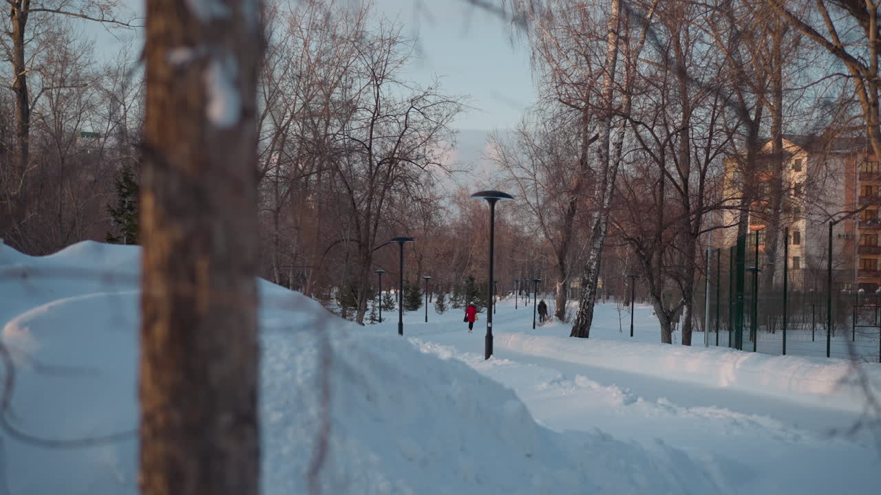 Winter season with person walking down snowy path lined with street lamps and bare trees, tall buildings in background, soft sunlight, calm winter city park atmosphere with shadows