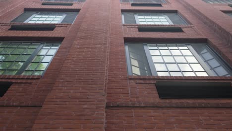 el encanto de las viejas ventanas rústicas se amplifica cuando los árboles se reflejan elegantemente en los áticos renovados de un clásico almacén de ladrillo rojo.