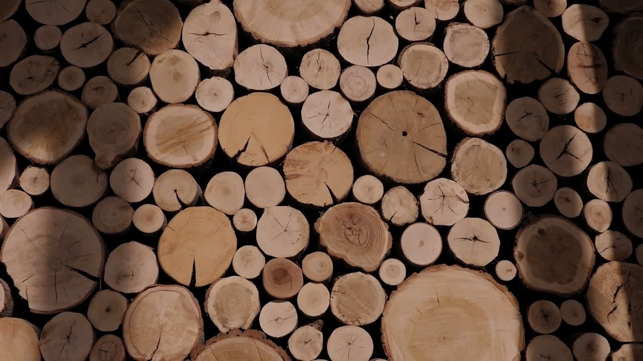 많은 은 나가지, 겨울을 위해 준비된 은 불나무 어리.