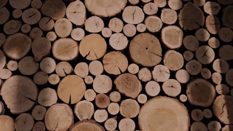 a lot of cutted logs. pile of chopped fire wood prepared for winter.