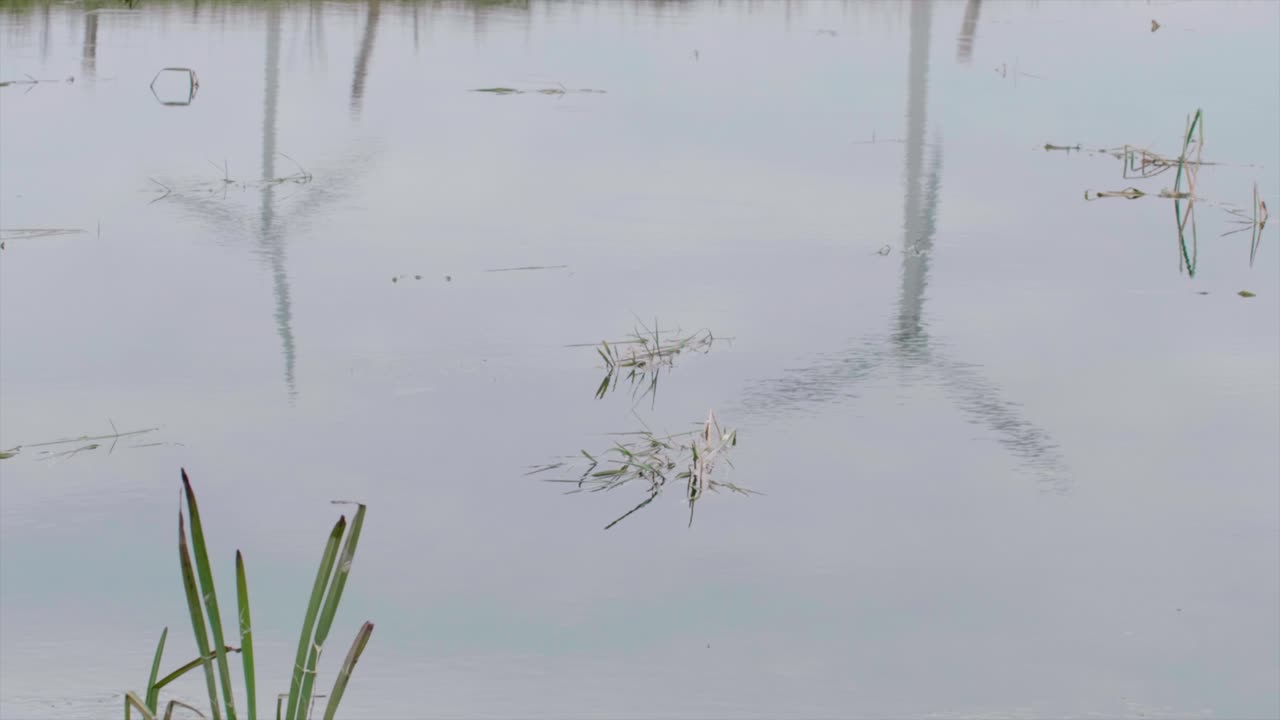 풍력 발전소의 물에 대한 반사