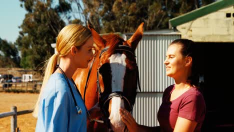 woman interacting with veterinarian in ranch 4k