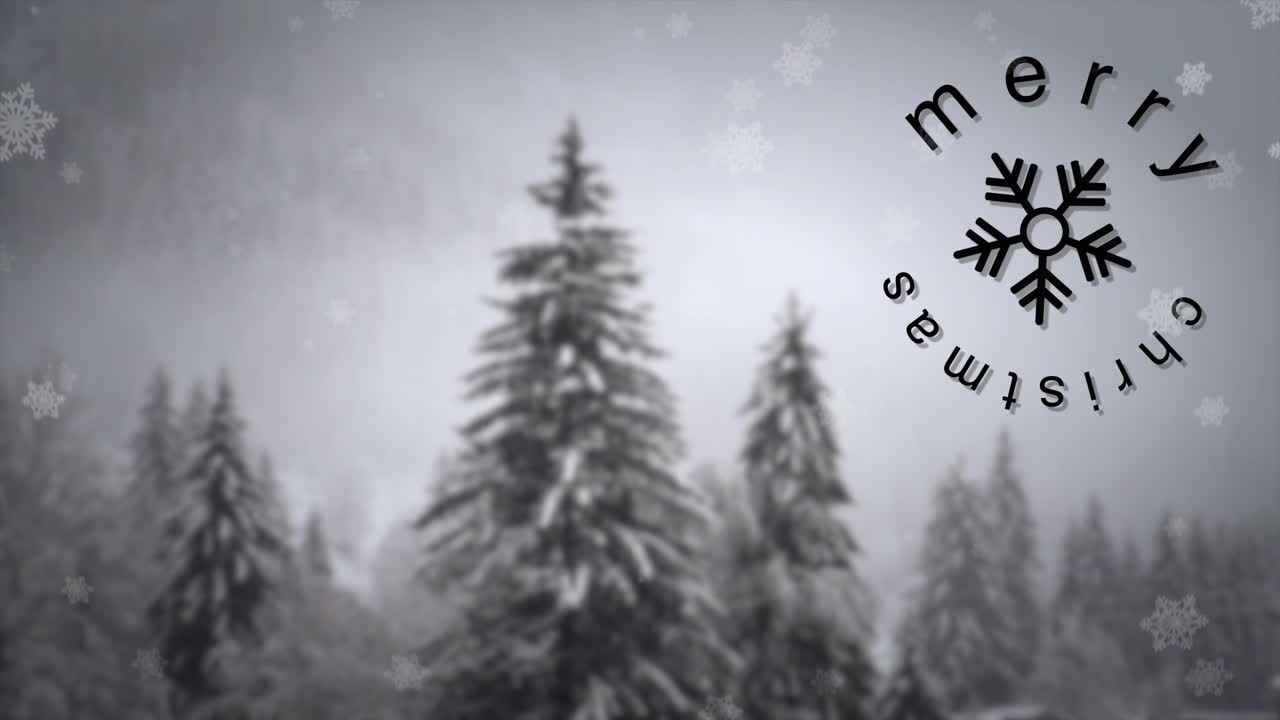 크리스마스 기쁨 인사말 템플릿 빨간색 배경 선물 메리 크리스마스 북쪽 크리스마스 나무 조감도