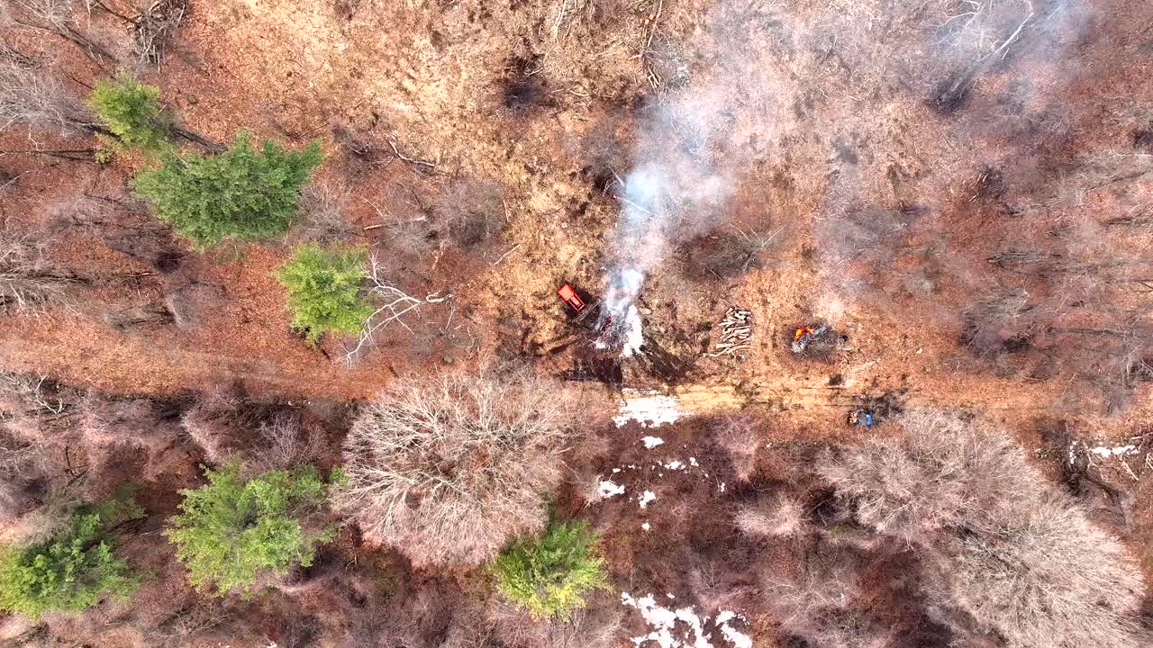 Vista aérea de floresta de inverno mostra queimada controlada para fins de conservação.