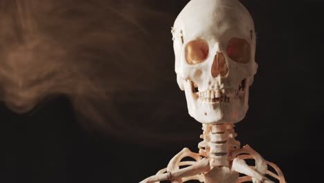 video of close up of halloween skeleton and copy space on black background