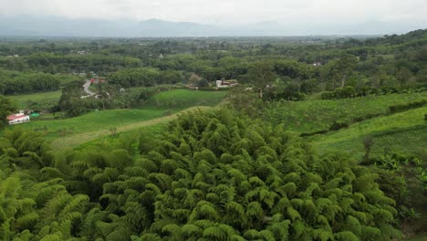 aerial view of the green landscape in the coffee axis near the city of armenia in the quindío department of colombia