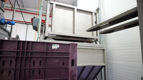 Automatic-fruit-washing-machine.-Food-factory-catering