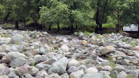fresh waters of river sindh, boating bliss, forest trails, lush meadows and scenic himalayan landscapes