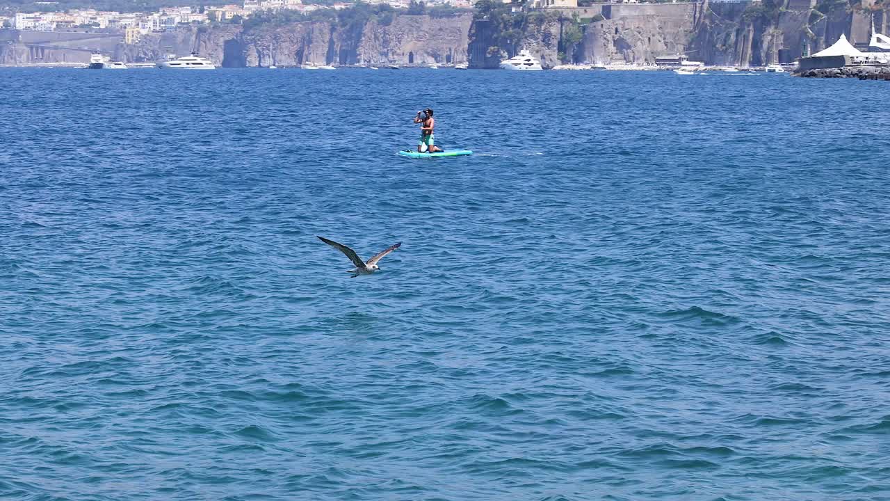 패들보더 근처 의 바다 위 를 날아다니는 새