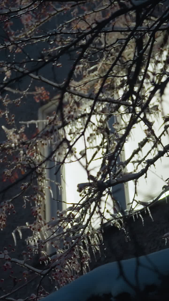 жилое здание внешне освещено светящимся светом, протекающим через окно, окруженное замороженными ветвями деревьев, ярким внутренним светом с ледяным зимним вечером и темным окружением