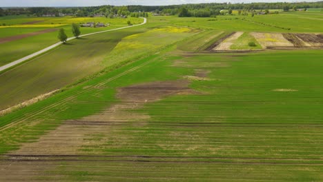 drone shot from the top of a crop field