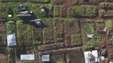 Asignación-De-Jardines-Urbanos,-Vista-Aérea-Del-Jardín-Comunitario-Con-Lotes-Pequeños-En-El-área-De-La-Ciudad,-Producción-De-Alimentos-Orgánicos